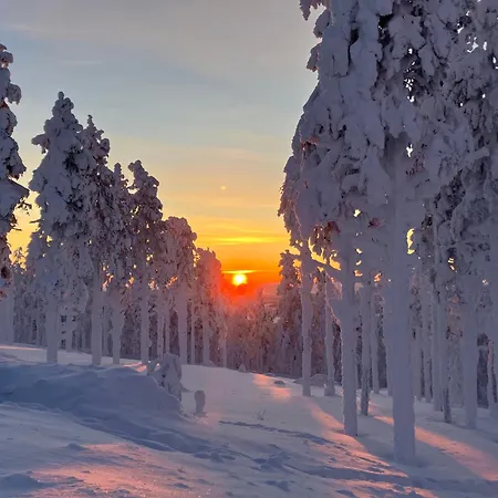 Marrikka, *