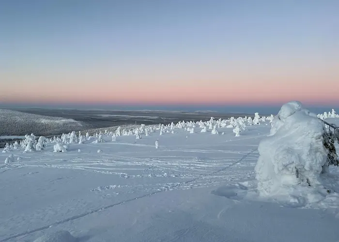 Marrikka, * Леви