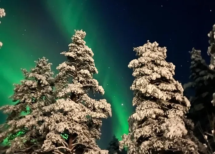 Marrikka, * Леви